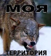 расклейка обьявлений