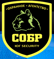 Охранные услуги СОБР ЮГ SECURITY,  физическая охрана