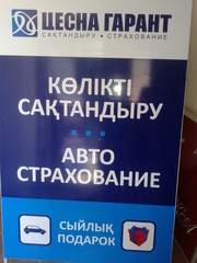 Страхование Цесна Гарант и Номад Иншураз, все виды  страхования  иОГПО 