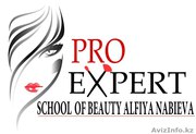 PRO Expert