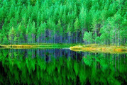 Здоровье без лекарств