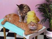 Массаж лечебный только женщинам