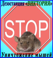 Дезостанция«ВИКТОРИЯ»,  уничтожение,  мышей в Алматы и области.