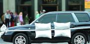 Автострахование 