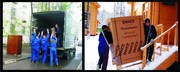 Услуги рабочего персонала