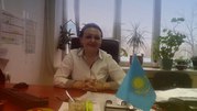 Аудит. Бухгалтерское и налоговое сопровождение. Составление и сдача вс