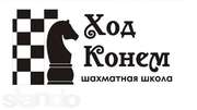 Шахматная школа 