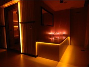The Home SPA 3 вида сауны 30 видов массажа
