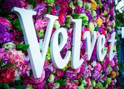 РестоБар VELVET 
