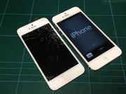Замена Стекла / Экрана / Дисплея iPhone 5/5С/5S/6/6+/6s