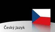 Срочный перевод с/на чешский язык