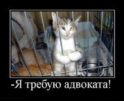 Юридическая помощь гражданам и предпринимателям