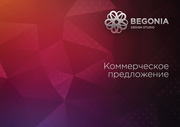 Фирменный стиль,  айдентика,  ребрендинг,  дизайн веб-сайтов,  иллюстрации
