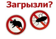 избавим от клопов, тараканов, мышей и т.д,  дезинфекция