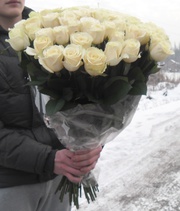 Букет 55 белых роз 60 см