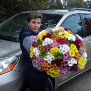 Букет 55 хризантем кустовых из Голландии