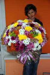 Букет из 101 хризантемы,  голландия