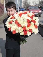 101 роза белые и оранжевые,  высота 50 см