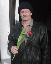 Тюльпаны из Голландии
