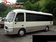 пассажирские перевозки от 14 до 55 пос/мест