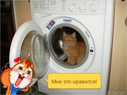ремонт бытовой техники