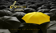 Алтын Consult