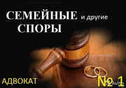 Консультации и иски по разводам и алиментам