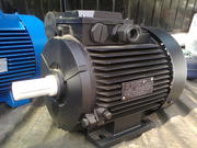 Ремонт электродвигателей