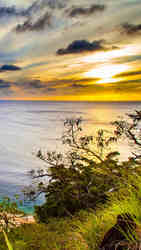 Ясновидение, Целительство.